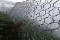 被动边坡防护网