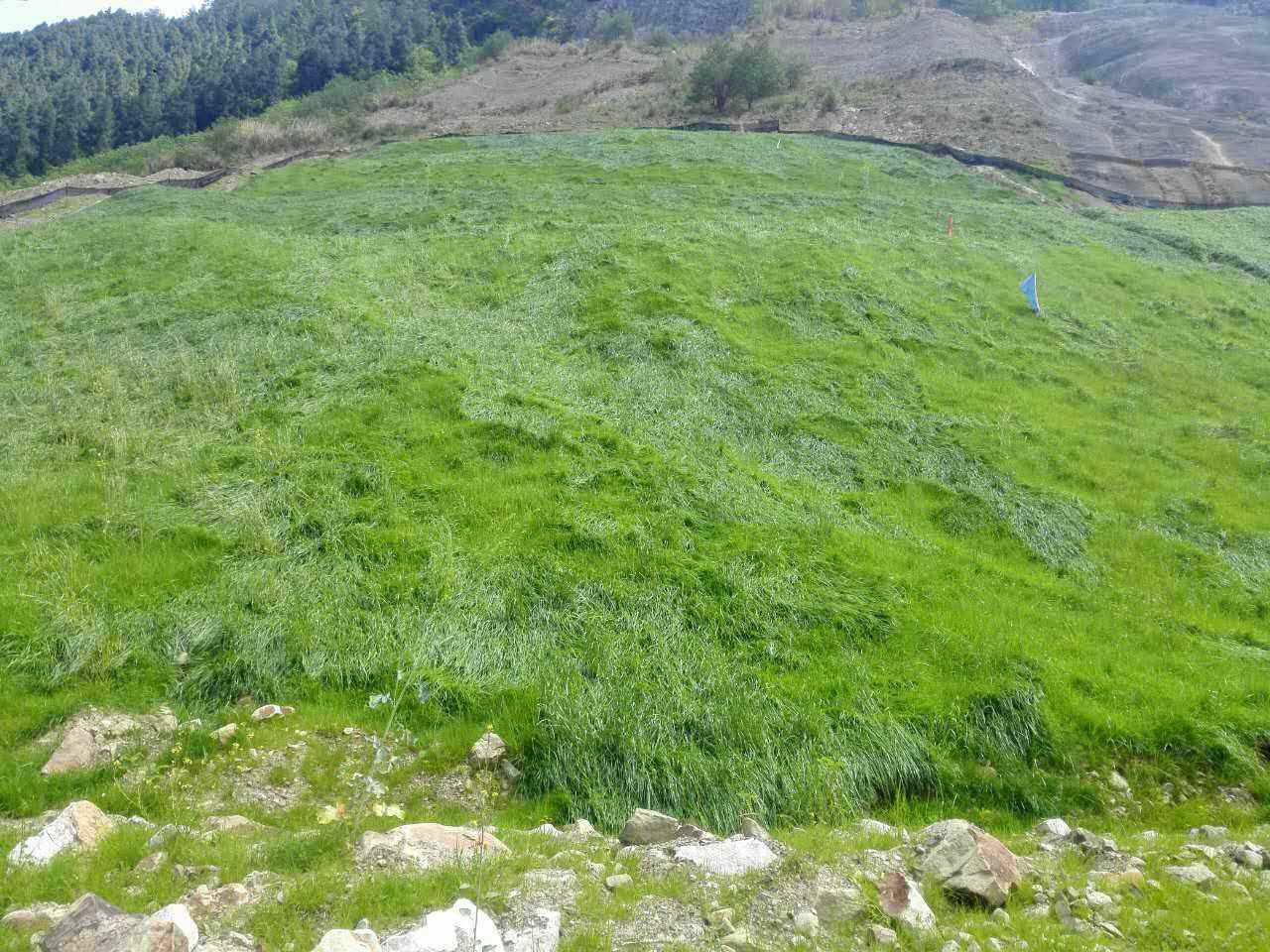 常见边坡防护网