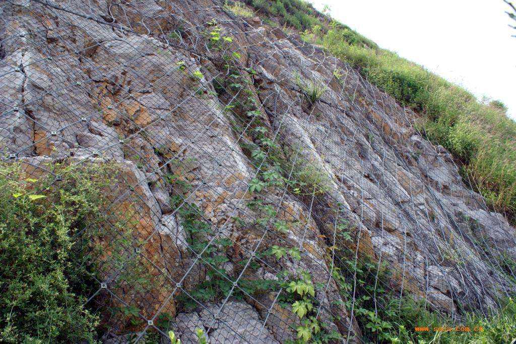 包塑高强度格栅网