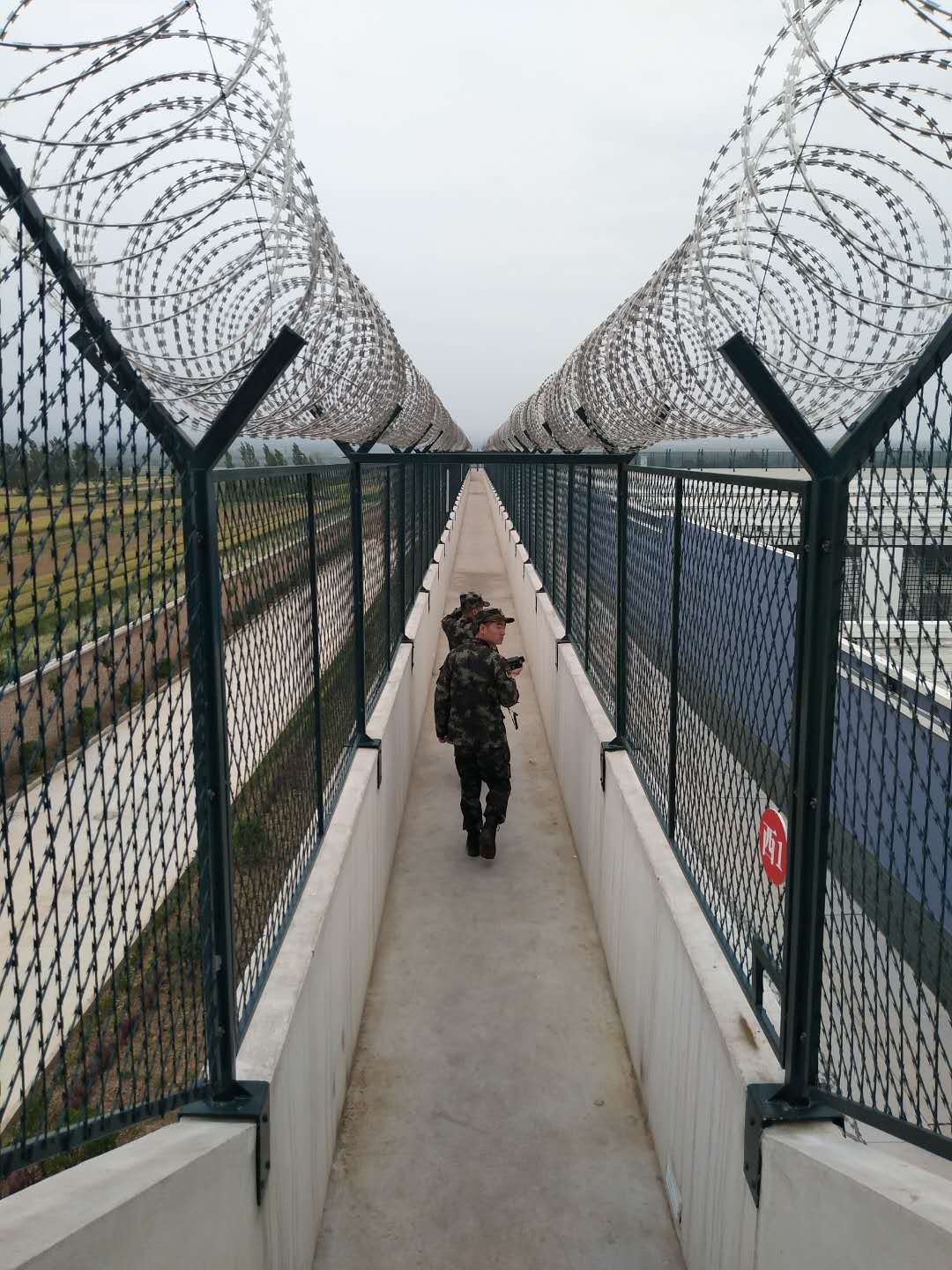 刀片刺绳防护网图片